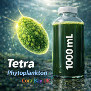 Live Tetraselmis Phytoplankton – 1 L – Premium Marine Microalgae for Reef Tanks & Live Food Cultures