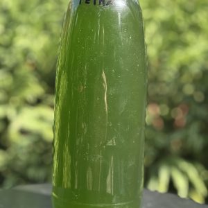 Live Tetraselmis Phytoplankton – 0.75 L – Premium Marine Microalgae for Reef Tanks & Live Food Cultures