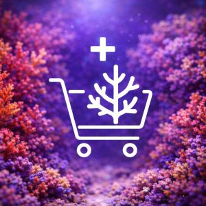 Buy corals from reefers / shops - UK