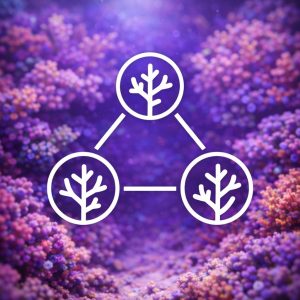 Community corals - CoralBay UK