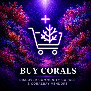 Buy corals from CoralBay uk Buy corals from CoralBay uk