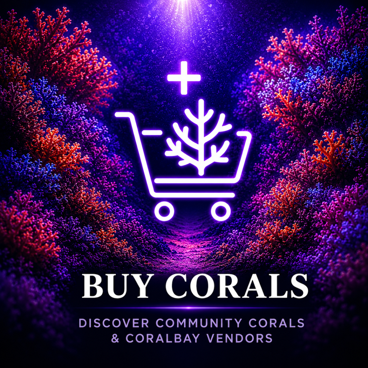 Buy corals on CoralBay UK