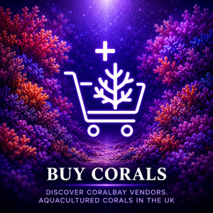 Buy aquacultured corals in the UK