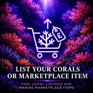 List corals or marine marketplace items
