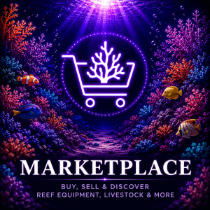 Reef Marketplace CoralBay UK