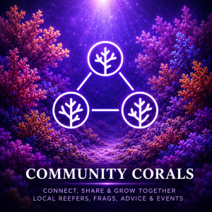 Community corals UK