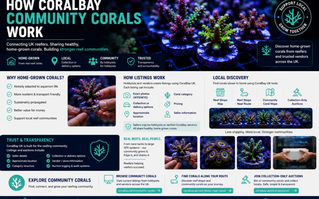 How CoralBay Community Corals Work