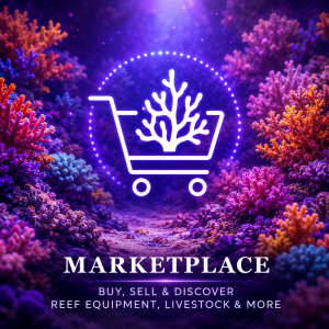 Marine / Reefing marketplace