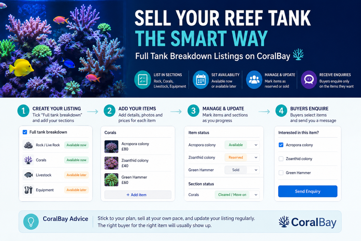 How to Sell a Reef Tank Breakdown in the UK | CoralBay UK