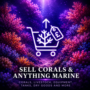 Sell corals and anything marine