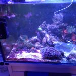CoralBay UK - 20260530 135507