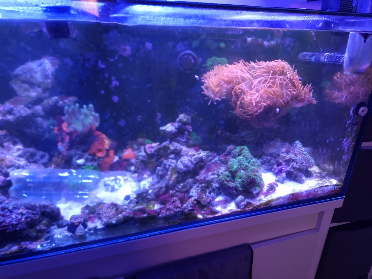 CoralBay UK - 20260530 135509