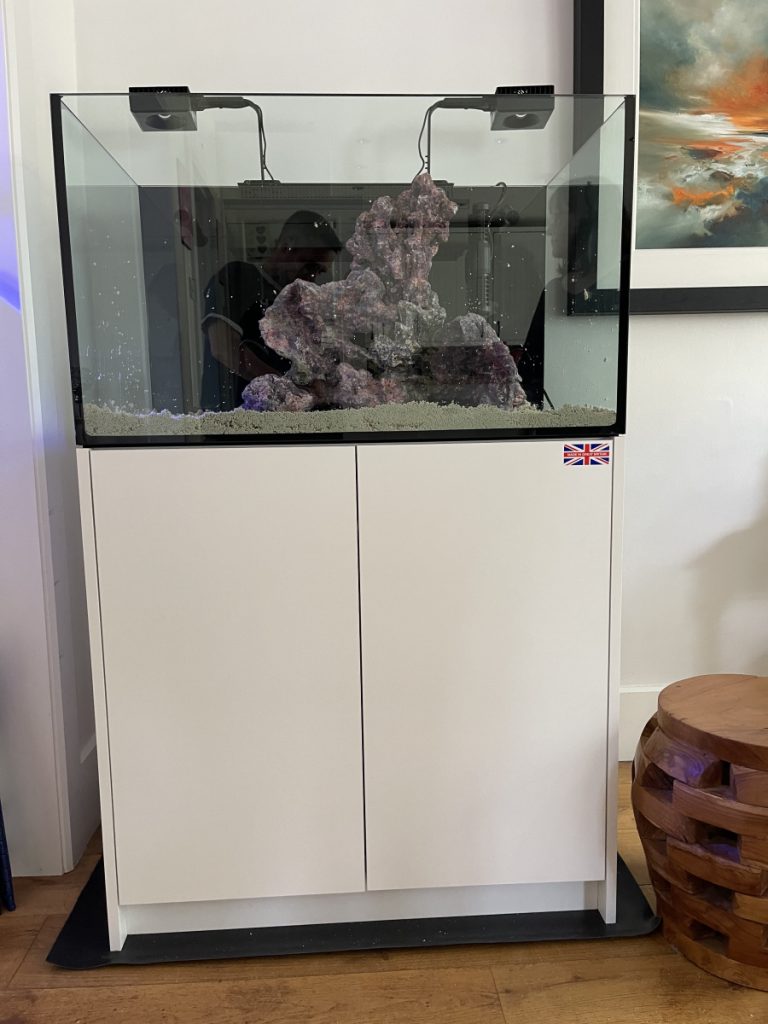 CoralBay UK - IMG 0426 e1782244453927