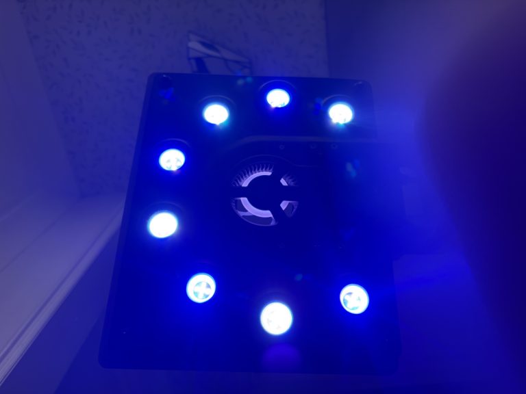 Maxspect Ethereal + WiFi controller