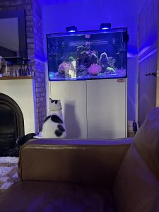 CoralBay UK - IMG 2207 e1782244464495
