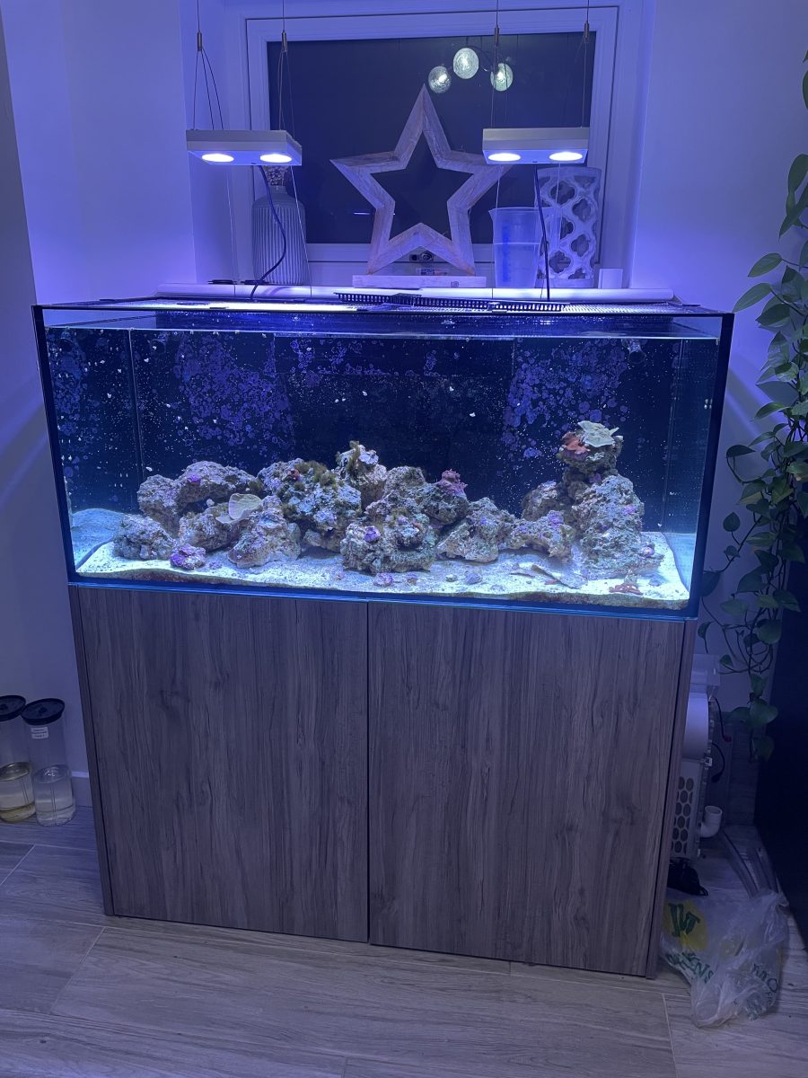 CoralBay UK - IMG 3284 e1781549108162