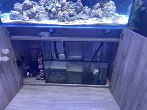 CoralBay UK - IMG 3285