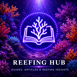 Reefing hub guides articles CoralBay UK
