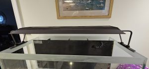CoralBay UK - 13029