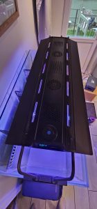 CoralBay UK - 13030