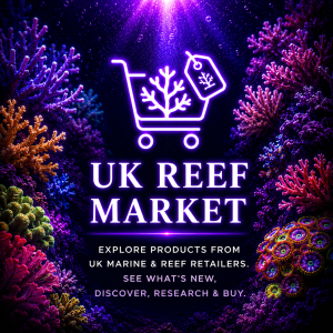 Uk Reef Market Uk Reef Market