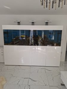 CoralBay UK - 1000013559