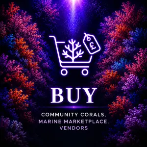 Buy CoralBay UK Buy on UK Reefing platform. Marine corals, fish, livestock, equipment ...
