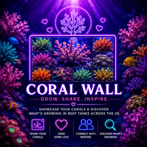 Coral Wall - grow, share, inspire
