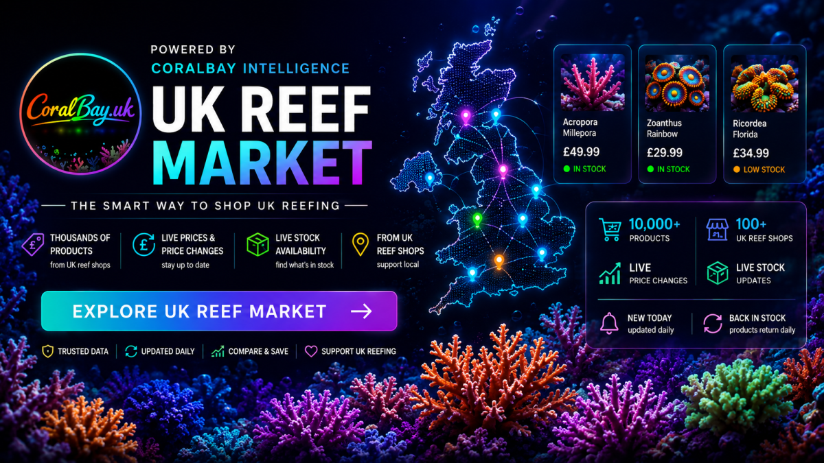 Uk Reef market<br />
