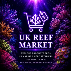 Uk Reef Market Uk Reef Market - see what's available across UK Reef stores.