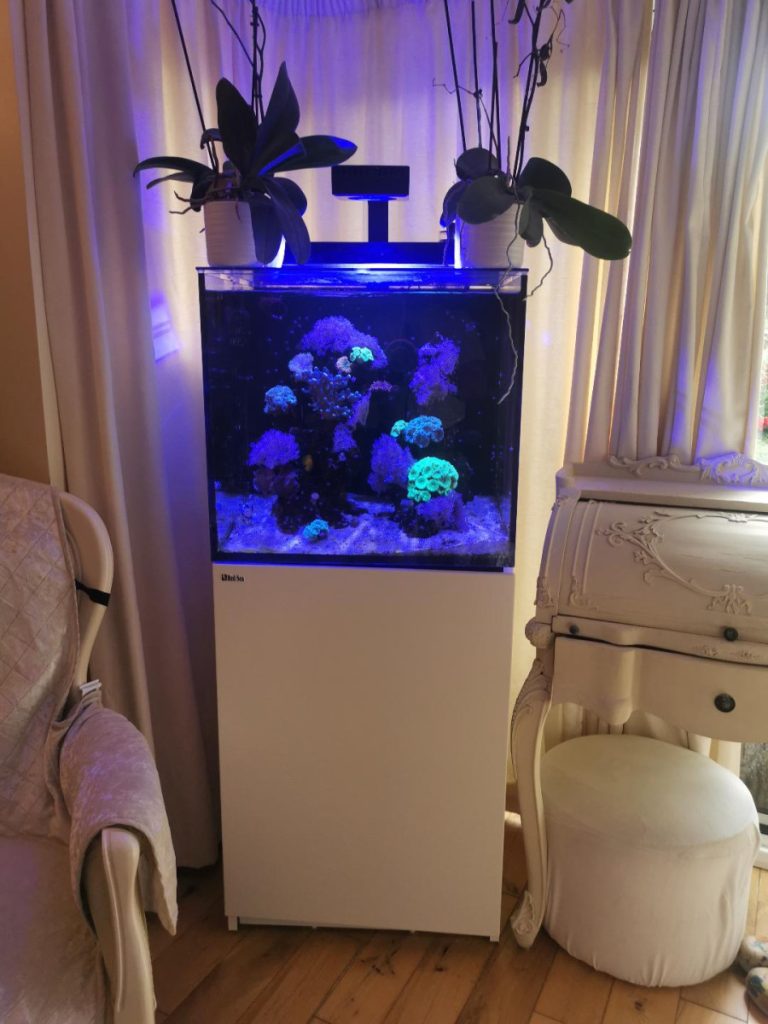 Entire setup sale in Elmbridge by CoralBay Reefer 281