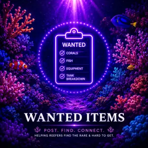 Wanted items Wanted items by UK reefers - tell others what you are looking for.