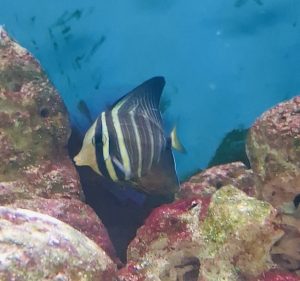 CoralBay UK - ec95b2d7 e54e 4844 b4a4 7856df89a2a2