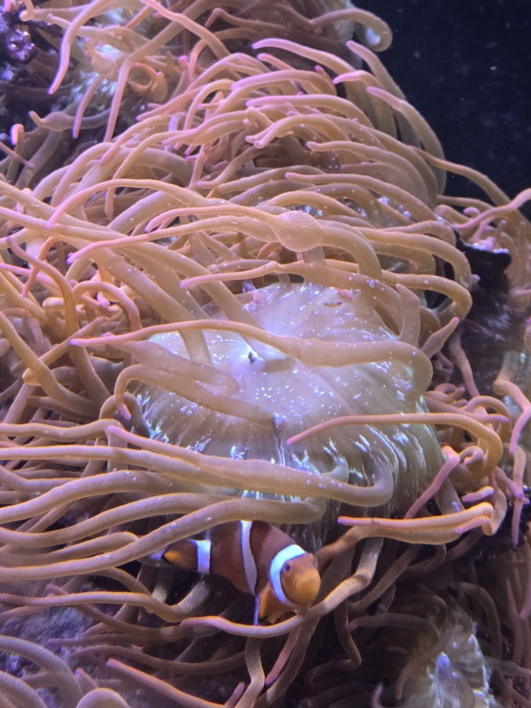 CoralBay UK - 20261004 202756