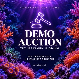 CoralBay UK - CoralBay Reef Demo Auction Small 1