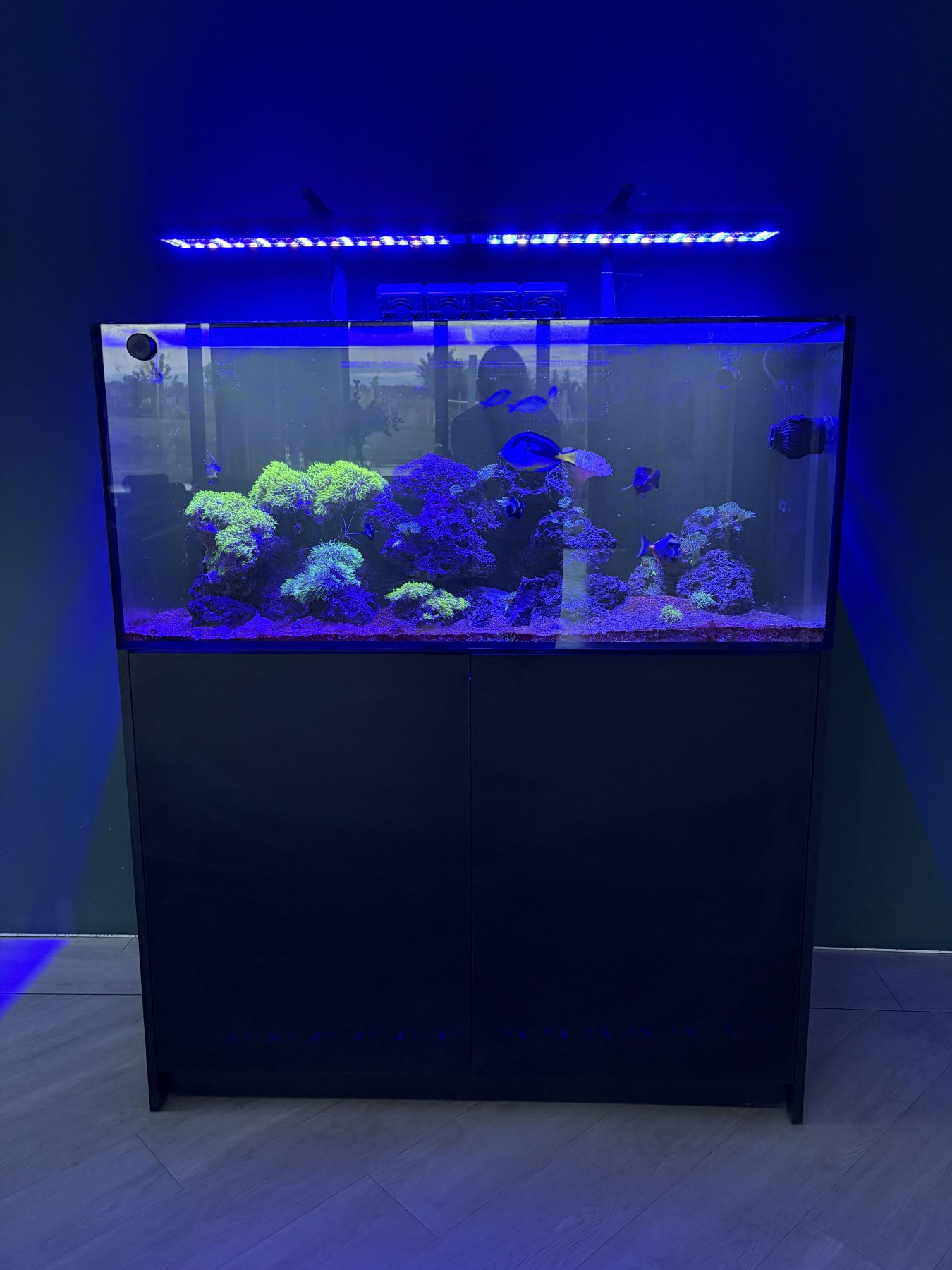 CoralBay UK - tempImagemuKJOh