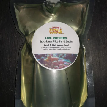 Live Rotifers 500ml