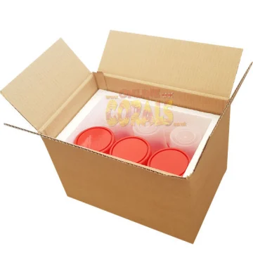 Coral Frag Transport Kit