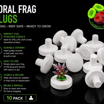 10 pack of 20mm ceramics coral frag plugs