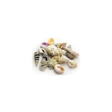 Hobby Snail / Crab Shell Set Medium Shells 10pcs