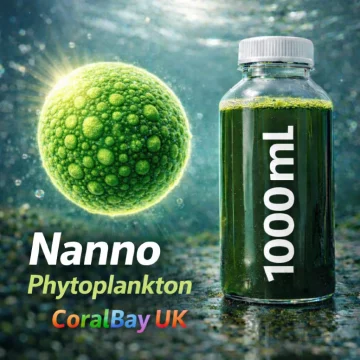 Phytoplankton nano – marine algae – 1 litre culture