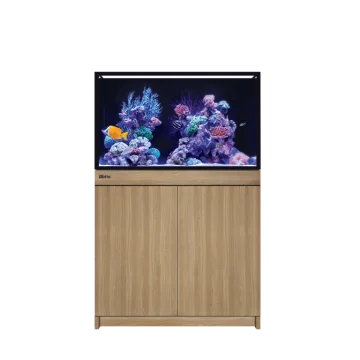 Red Sea REEF-FRAME 250 Aquarium
